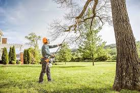 Best Seasonal Cleanup (Spring/Fall)  in Russell, KY