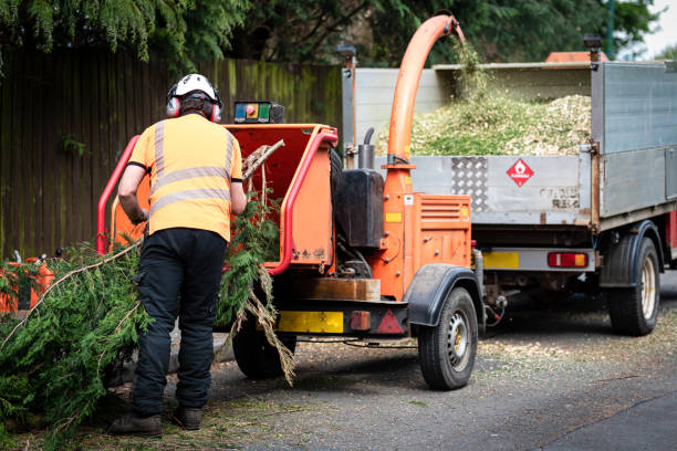 Best Commercial Tree Services  in Russell, KY