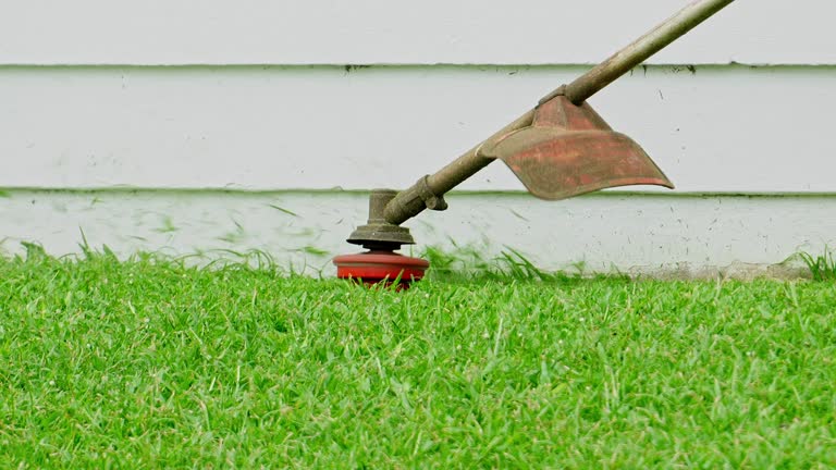 Best Artificial Turf Installation  in Russell, KY