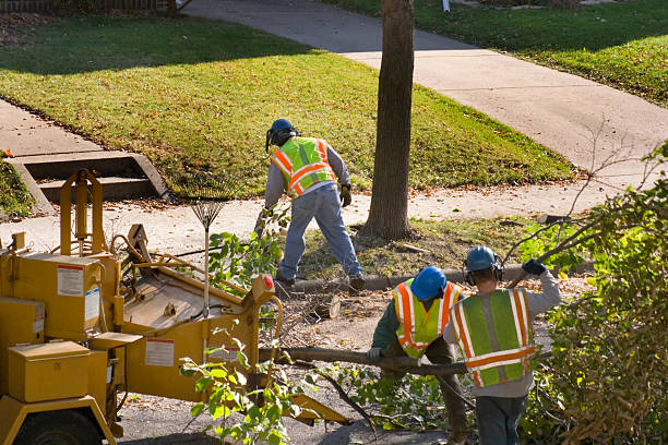 Best Tree Mulching  in Russell, KY